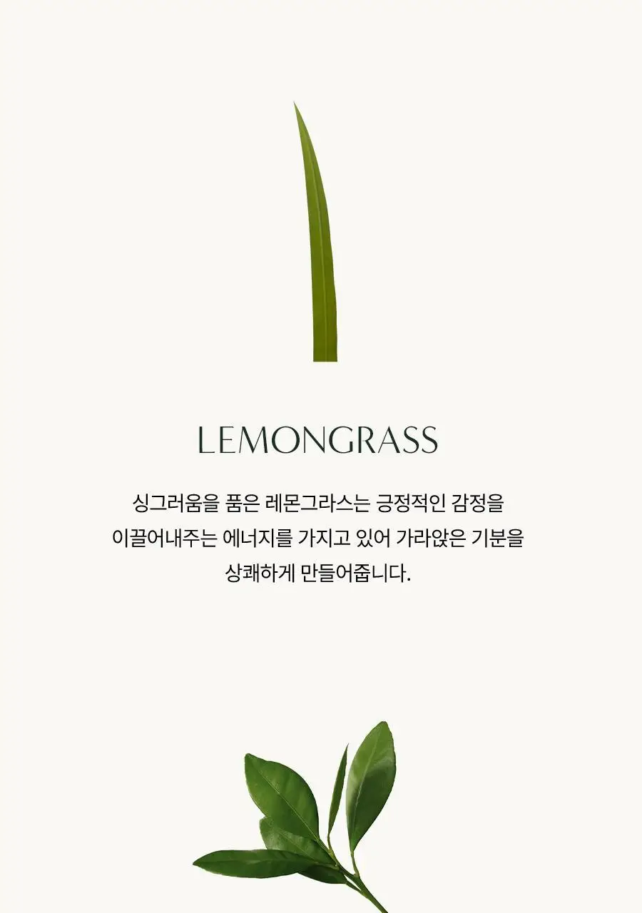 [대용량/가성비] 아로마티카 바디워시 1L 2종 택1 (유칼립투스/레몬그라스) 상세페이지 14